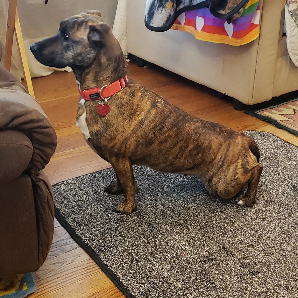 Meet your Posher, Sue